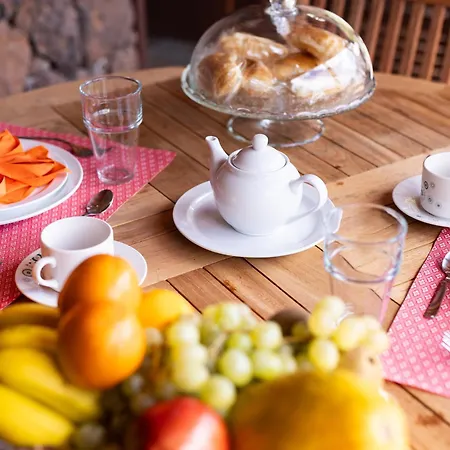 Live Masca Casatarucho *