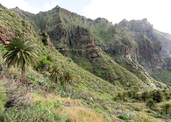 Live Masca Casatarucho Villa