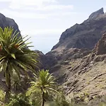 Villa Live Masca Casatarucho Buenavista Del Norte