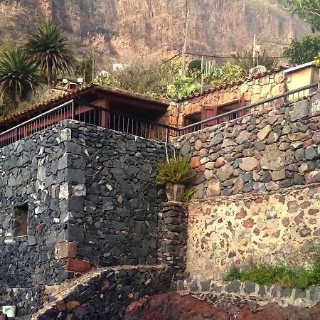 Live Masca Casatarucho Willa *