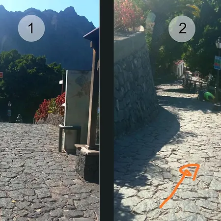 Live Masca Casatarucho *