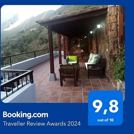 Live Masca Casatarucho Willa