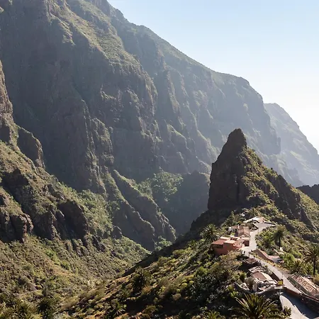 فيلة Live Masca Casatarucho