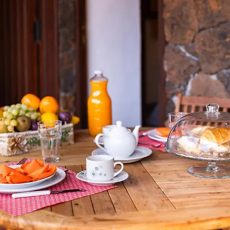 Live Masca Casatarucho Willa *