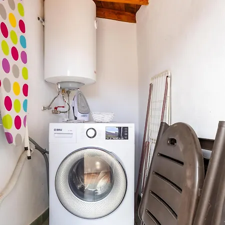 فيلة Live Masca Casatarucho