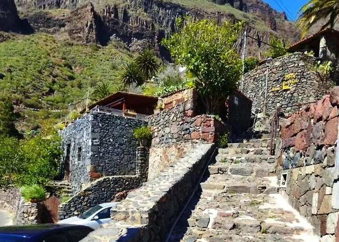 Live Masca Casatarucho Villa Buenavista Del Norte