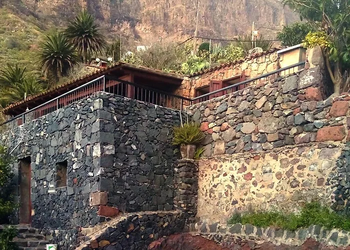 Live Masca Casatarucho Willa *