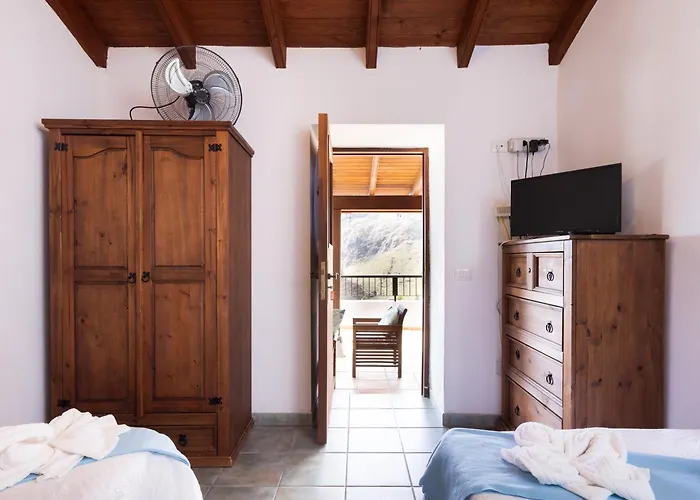 Live Masca Casatarucho Willa