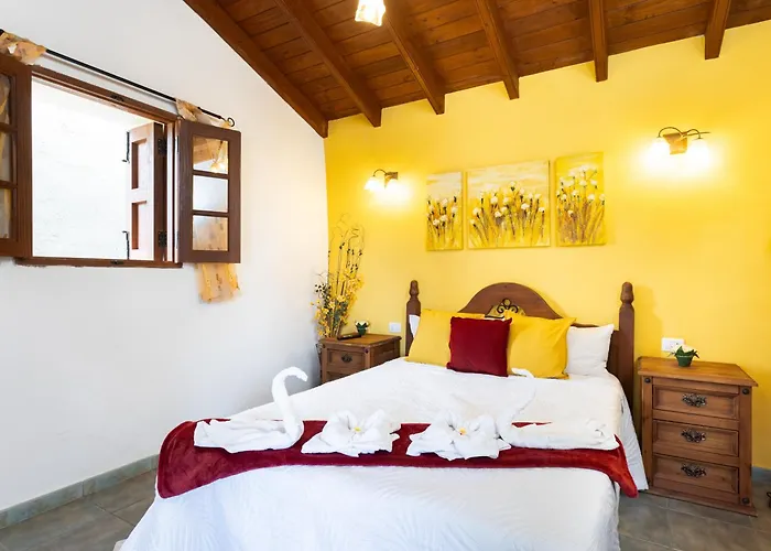 Live Masca Casatarucho Buenavista Del Norte