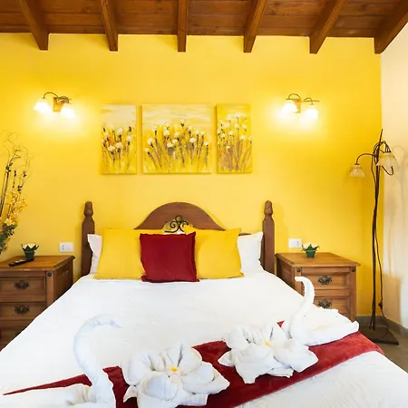 Live Masca Casatarucho Villa Buenavista Del Norte