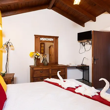 Live Masca Casatarucho