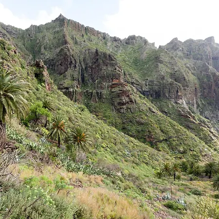 Live Masca Casatarucho Villa