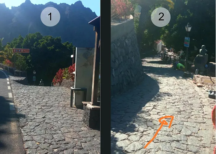 Live Masca Casatarucho *