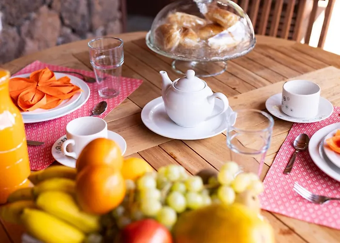 Live Masca Casatarucho *